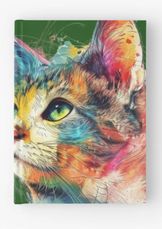 rainbow cat notebook